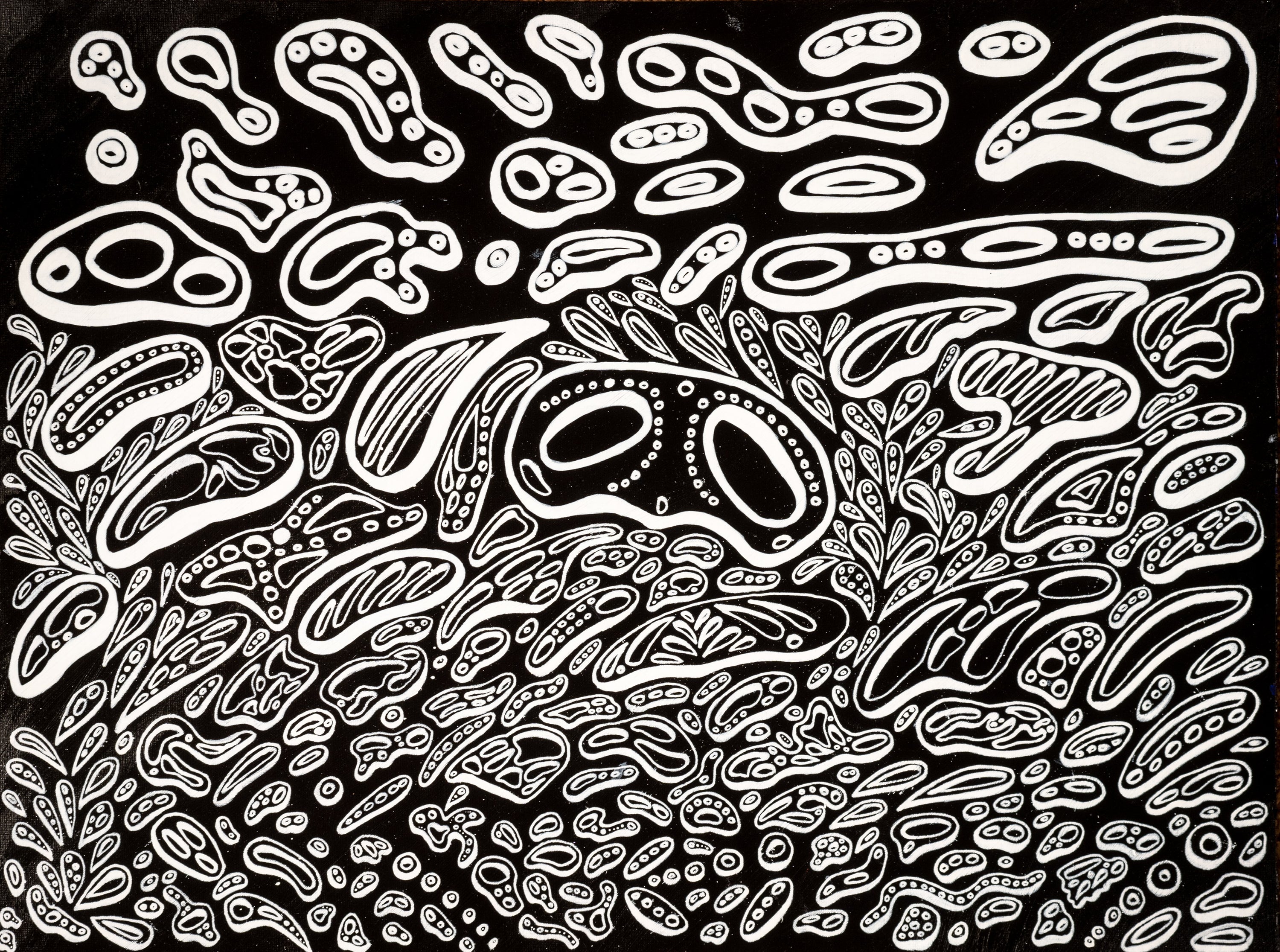 An abstract painting with a black background and white 3D shapes that look like cells or molecules by Nicholas Hayes, a Chicago based emerging artist. 