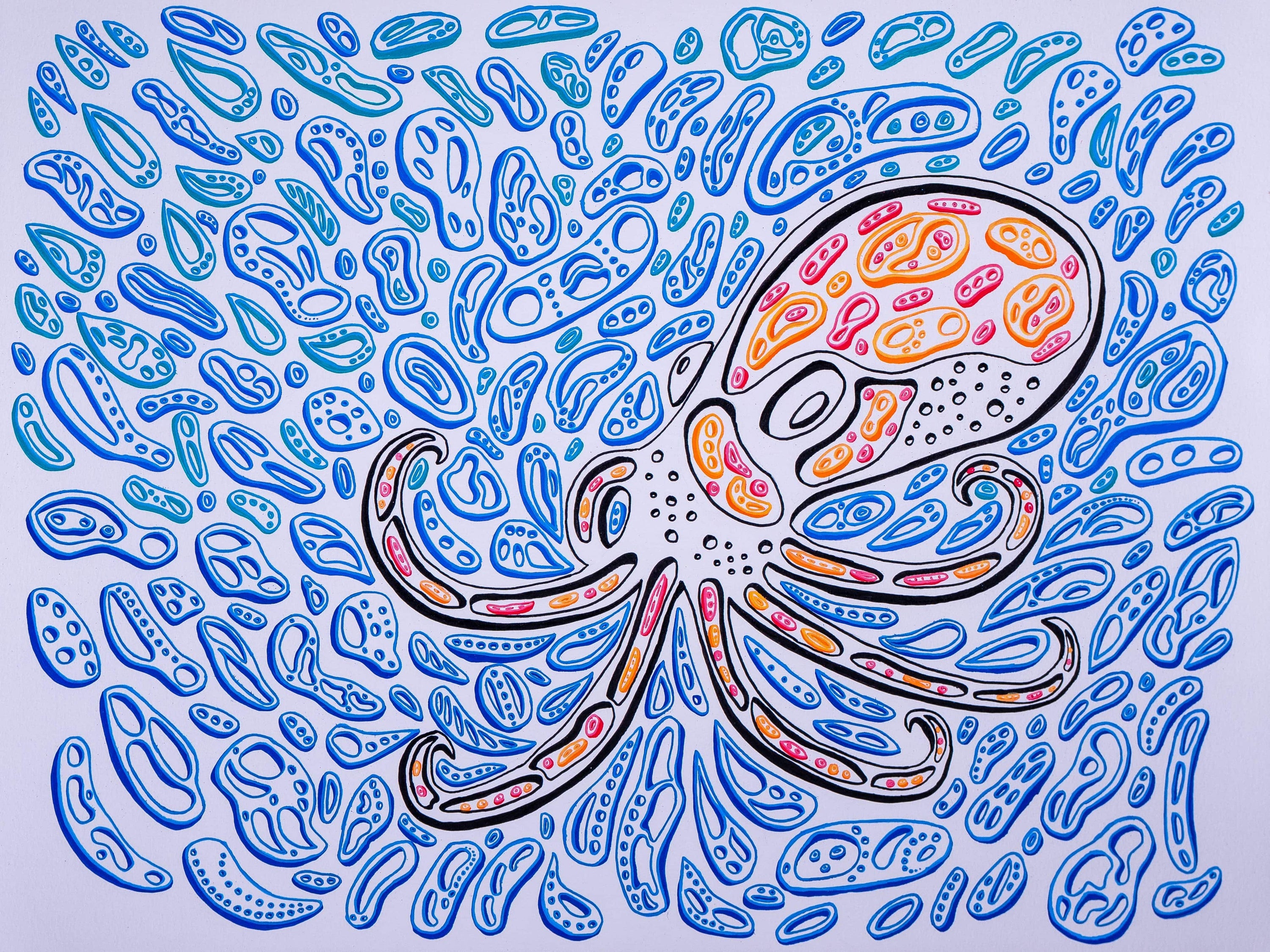 an optical illusion of an octopus.  the shapes are black, red, orange, and blue.  Op art by Nicholas Hayes.  Optical artist. Octopus design, nautical design. water shapes.